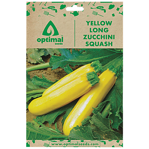 Buy Optimal Seeds Yellow Long Zucchini Squash Vegetable Seeds Online at Best Price of Rs 179