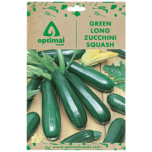 Optimal Seeds Green Long Zucchini Squash Vegetable Seeds, 10 pcs  