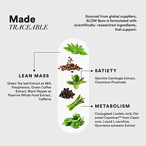 Wellbeing Nutrition Slow Burn Capsules - Capsimax, CLA & Garcinia Cambogia In Active Liquid L-Carnitine, 60 pcs  