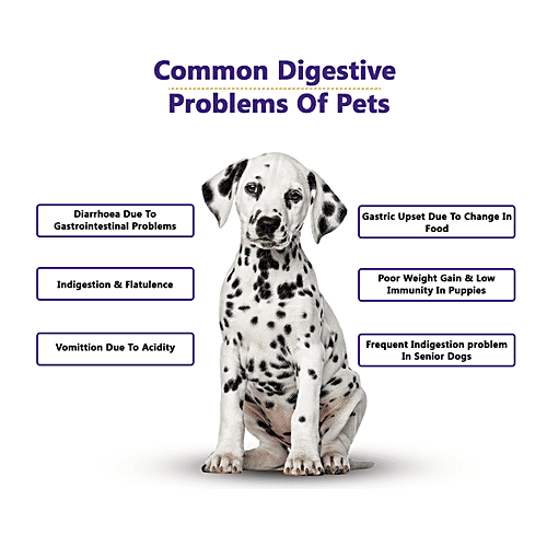 Petvit Pre & Probiotic Gut Health Powder - For Dogs, Cats, Puppies & Kittens, 1 g (20 Sachet x 1 g Each) 