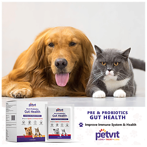 Petvit Pre & Probiotic Gut Health Powder - For Dogs, Cats, Puppies & Kittens, 1 g (20 Sachet x 1 g Each) 