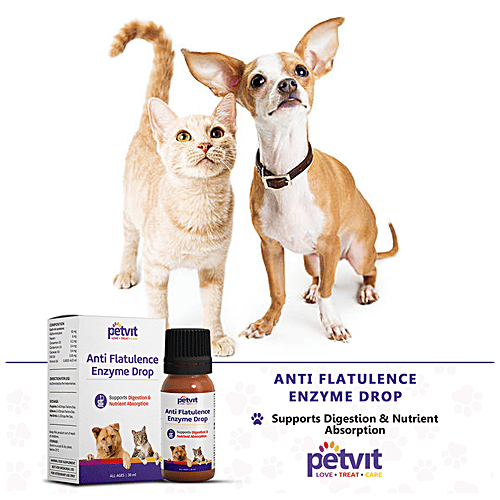 Buy Petvit Anti Flatulence Enzyme Drops Supports Digestion, For Dogs