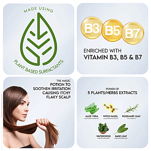 Crazy Owl - Your Skin Co. Witch Hazel Extract Hair Conditioner - Protects & Hydrates, Vegan, Paraben Free, 300 ml  