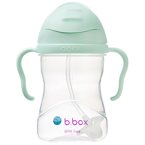 Buy BBOX Weighted Straw Sippy Cup Pistachio Light Green Online at