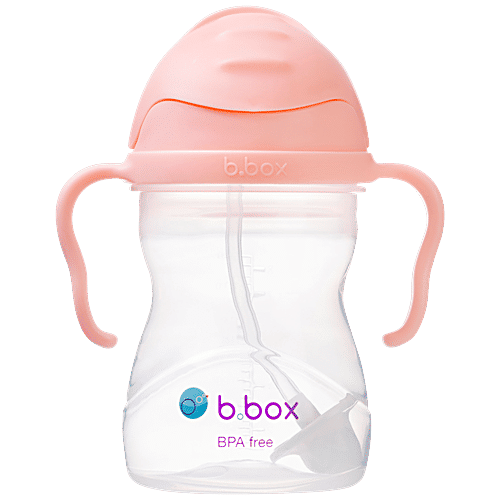 Buy BBOX Weighted Straw Sippy Cup Tutti Fruiti Light Pink Online at