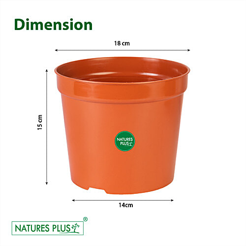Buy NATURES PLUS Nursery Pot 7 Inch, Brown, Durable, Longlasting