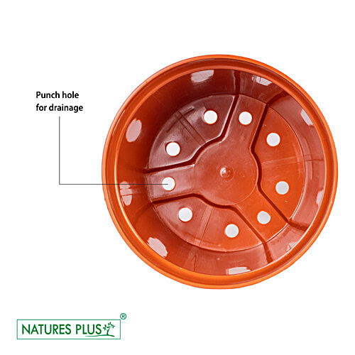 Natures Plus Nursery Pot - 18 cm, Brown, Durable, Longlasting, 2 pcs  