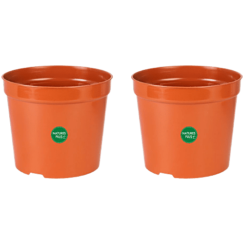 Buy NATURES PLUS Nursery Pot 18 cm, Brown, Durable, Longlasting
