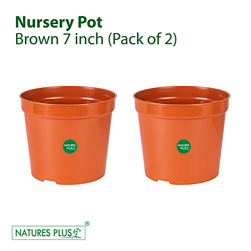 Buy NATURES PLUS Nursery Pot 18 cm, Brown, Durable, Longlasting