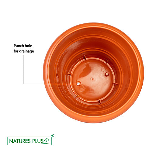 Natures Plus Planter 007 - Brown, Durable, Longlasting, 2 pcs