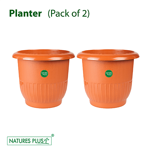 Natures Plus Planter 007 - Brown, Durable, Longlasting, 2 pcs
