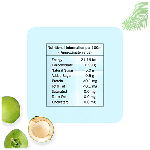 Buy Mojoco Malai Nata De Coco Tender Coconut Water Refreshing, Boosts