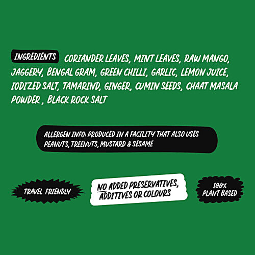 Chutnefy 5 Second Mint Chutney - Authentic Recipe, 30 g  