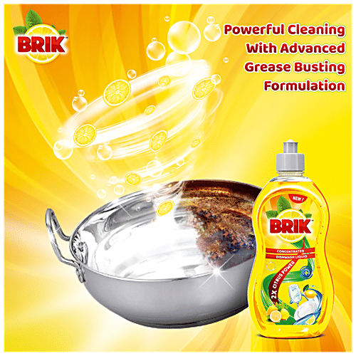 Buy Brik Dishwash Liquid Concentrated, Removes Stains, Provides
