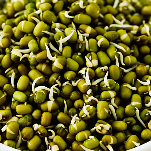 fresho! Organic Green Moong Sprouts, 150 g  
