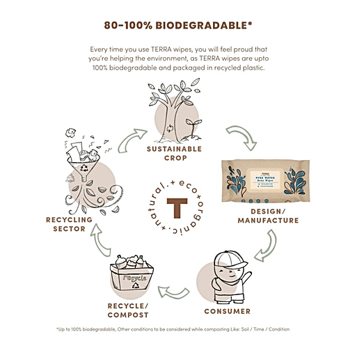 Terra Kiwi Fruit Extract Baby Wipes - Provides Natural Hydration, Soft, Biodegradable, 70 pcs  