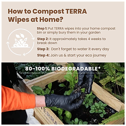 Terra Kiwi Fruit Extract Baby Wipes - Provides Natural Hydration, Soft, Biodegradable, 70 pcs  