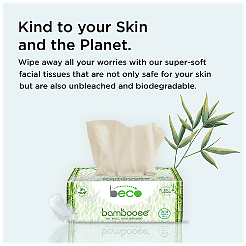 Beco Facial Tissues - 2 Ply, 100 pcs (Pack of 3) 100% Natural