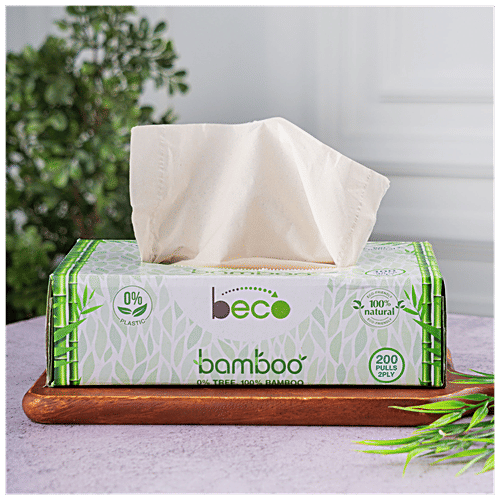 Beco Facial Tissues - 2 Ply, 100 pcs (Pack of 3) 100% Natural