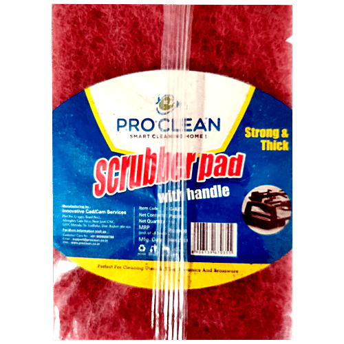 Buy Pro Clean Scrubber Pad With Handle Square, Strong & Thick Online