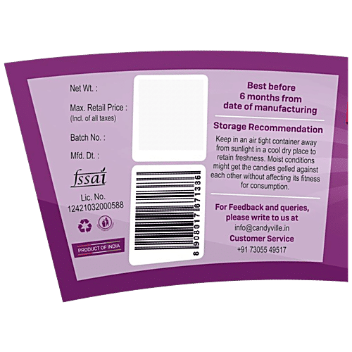 CandyVille Froot Fab Flavoured Candy - Blueberry, Refreshing Taste, 300 g Jar 