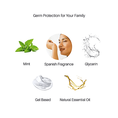 Stanfresh Hygiene Liquid Hand Wash - With Natural Essential Oils, Germ Fighter Formula, Mint, 750 ml (Pack of 2) 