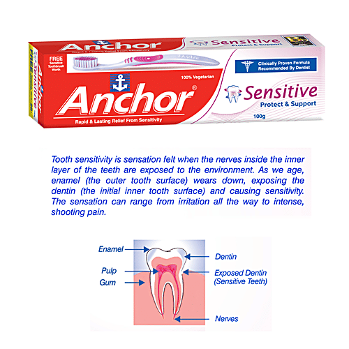 Buy Anchor Sensitive Toothpaste - Protect & Support Online at Best