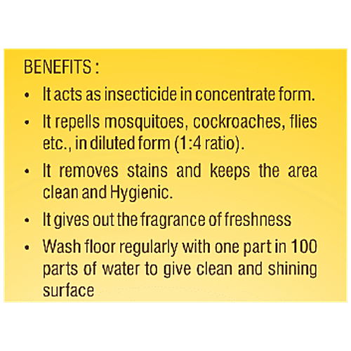 Buy Swan Herbal Special Deodorant Floor Cleaner Removes Tough Stains