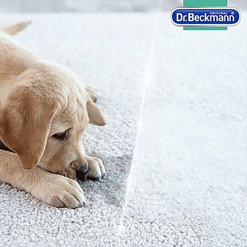 Buy Dr. Beckmann Pet Stain & Odour Remover Eliminates Urine, Vomit