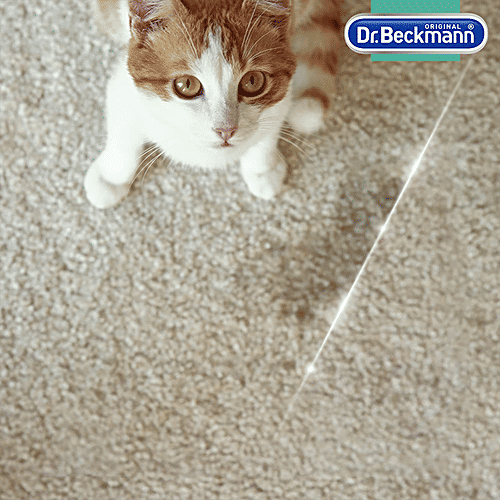 Buy Dr. Beckmann Pet Stain & Odour Remover Eliminates Urine, Vomit