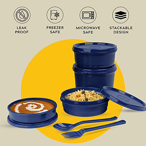 Buy Home Puff Stainless Steel Insulated Lunch Boxes for Office Men