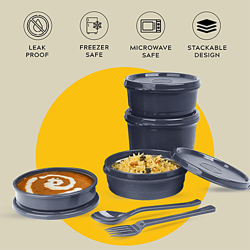 Home Puff Stainless Steel Insulated Lunch Boxes - Airtight & Leak Proof Tiffin Box, Free Lunch Bag, Grey, 1.5 L (600 ml + 450 ml + 150 ml + 300 ml)