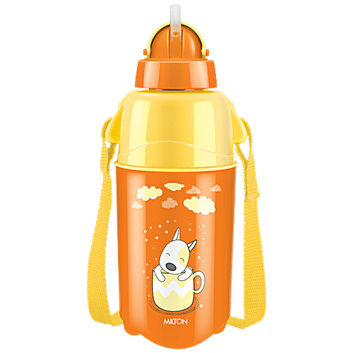 Buy Milton Kool Trendy Plastic Insulated Water Bottle With Straw For