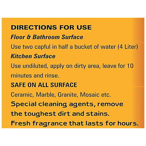 Clean Day  Floor Cleaner/White Phenyl - Fresh Fragrance, Removes Tough Stains & Dirt, 1 L (Buy 1 Get 1 Free) 