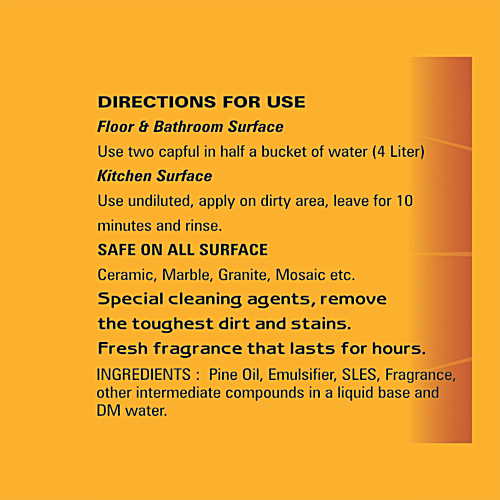 Clean Day  Floor Cleaner/White Phenyl - Fresh Fragrance, Removes Tough Stains & Dirt, 1 L (Buy 1 Get 1 Free) 