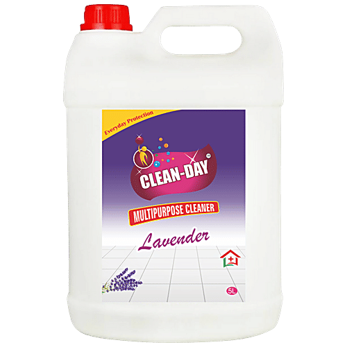 Buy Clean Day Multipurpose Floor Cleaner For Everyday Protection