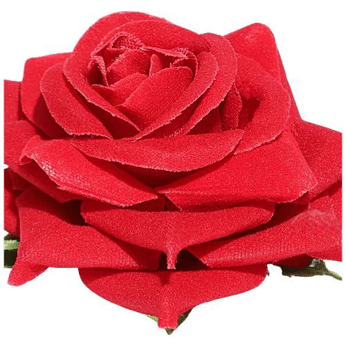 CHANDERKASH Hair Accessories - Belt Puff, Rose Clip, 4 pcs