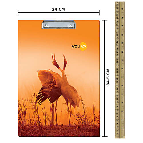 Buy Navneet Youva Regular Exam Board For Students, Durable Clip