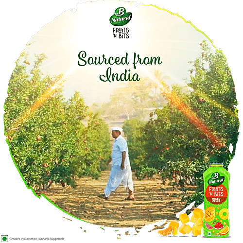 Buy B Natural Fruits 'N Bits Mixed Fruit Online at Best Price of Rs