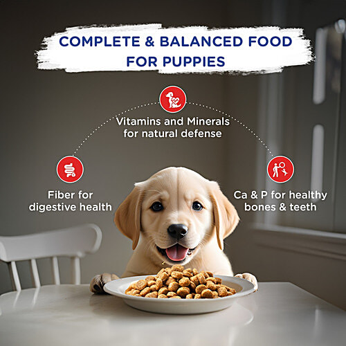 Chappi Dry Dog Food - Chicken & Milk, For Puppy, 2 To 12 Months, 7 kg Great Nutrition
Good Value