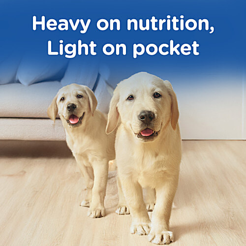 Chappi Dry Dog Food, Chicken & Milk - For Puppy, 2 To 12 Months, 7 kg Great Nutrition
Good Value