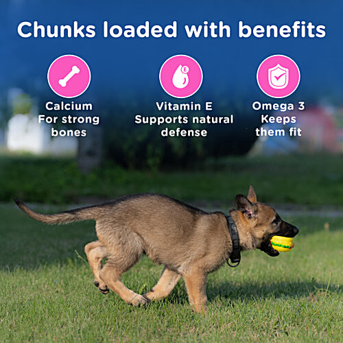 Chappi Dry Dog Food, Chicken & Milk - For Puppy, 2 To 12 Months, 7 kg Great Nutrition
Good Value