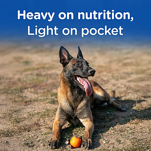 Chappi Dry Dog Food Chicken & Rice - For Adults, 1+ Years, 2.8 kg Complete & Balanced Food
Fibres for Digestive Health
Protein for Healthy Muscles