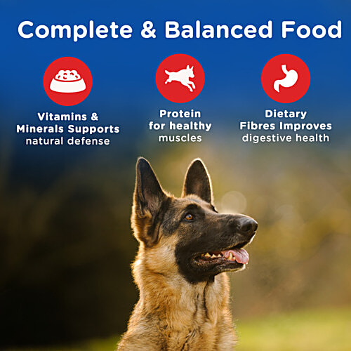 Chappi Dry Dog Food Chicken & Rice - For Adults, 1+ Years, 2.8 kg Complete & Balanced Food
Fibres for Digestive Health
Protein for Healthy Muscles