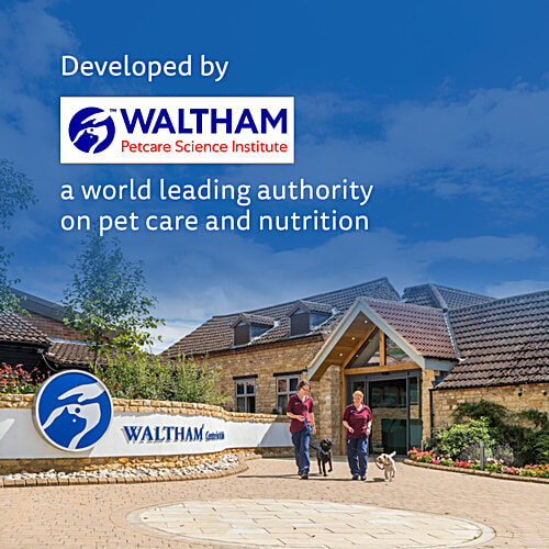 Chappi Dry Dog Food Chicken & Rice - For Adults, 1+ Years, 2.8 kg Complete & Balanced Food
Fibres for Digestive Health
Protein for Healthy Muscles