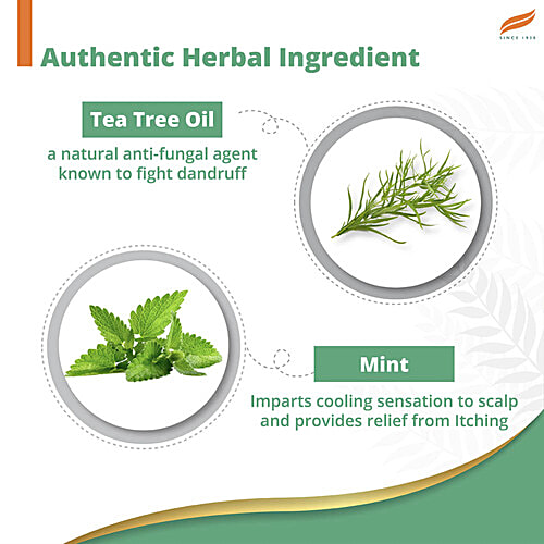 Himalaya Anti-Dandruff Cooling Mint Shampoo up to 00 relief dandruff and itchy scalp with Cooling mint and Tea Tree oil, 180 ml