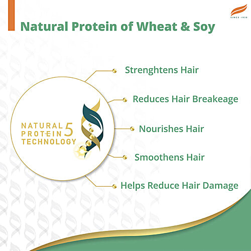 Himalaya Anti-Dandruff Cooling Mint Shampoo up to 00 relief dandruff and itchy scalp with Cooling mint and Tea Tree oil, 180 ml