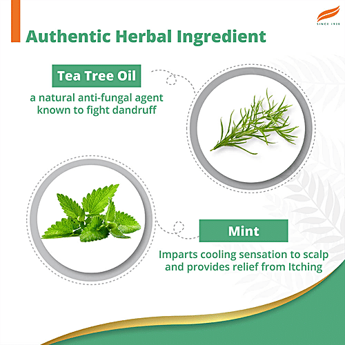 Himalaya Anti-Dandruff Cooling Mint Shampoo up to 00 relief dandruff and itchy scalp with Cooling mint and Tea Tree oil, 340 ml  