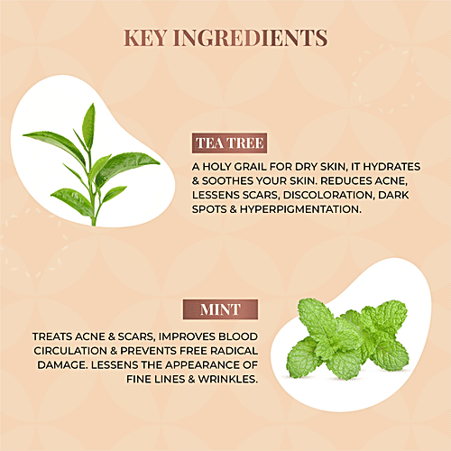 Buy Just Herbs Anti Acne Foaming Face Wash With Tea Tree & Mint