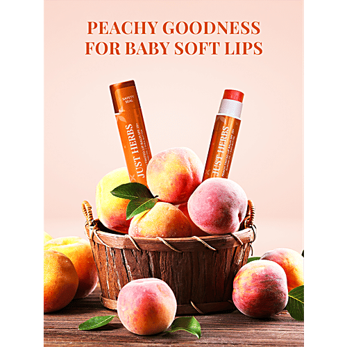 Buy Just Herbs Tinted Lip Balm With SPF 20+, Almond Oil, Shea Butter